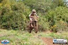 VWIV0916