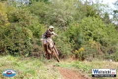 VWIV0921