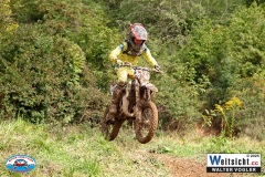VWIV0931