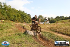 VWIV0978