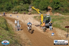 VWIV0989