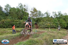 VWIV1116