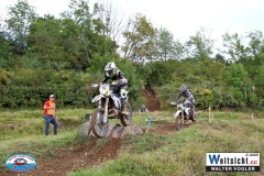VWIV1121