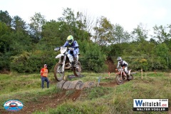 VWIV1155