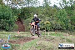 VWIV1164