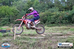 VWIV1216