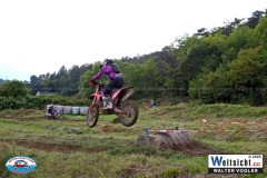 VWIV1224