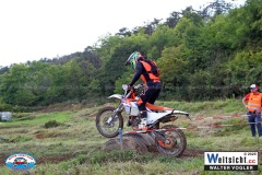 VWIV1231