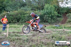 VWIV1242