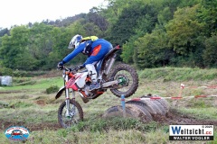 VWIV1245