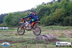 VWIV1249