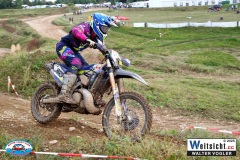VWIV1301
