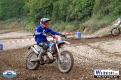 VWIV1304