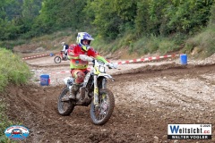 VWIV1309