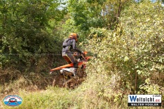 VWIV1412