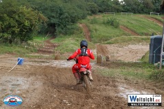 VWIV1460