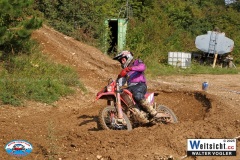 VWIV1484