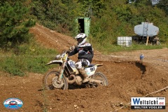 VWIV1496