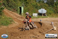 VWIV1502