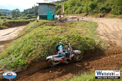 VWIV1650