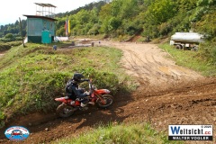 VWIV1657