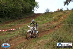 VWIV1691