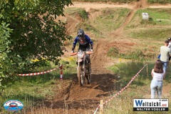 VWIV2007