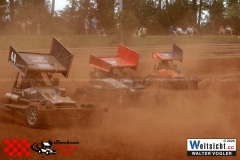 VWIV0784
