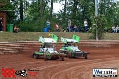 VWIV2833