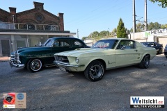 DSC_1079 DSC_1079
