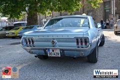 DSC_1081 DSC_1081