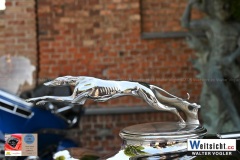 DSC_1096 DSC_1096