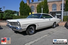 DSC_1101 DSC_1101