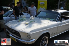 DSC_1115 DSC_1115