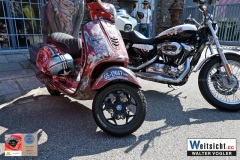 DSC_1132 DSC_1132