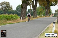 WAVO0339