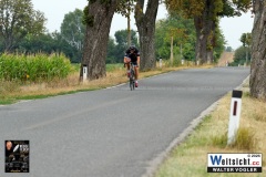 WAVO0353