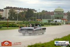 WAVO0681