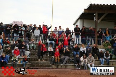 WAVO1684 WAVO1684