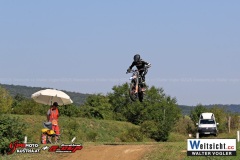 WAVO0263 WAVO0263