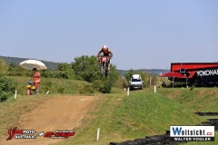 WAVO0279 WAVO0279
