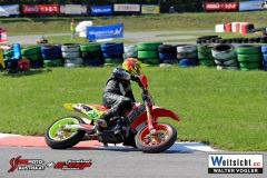 WAVO0431 WAVO0431