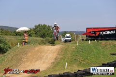 WAVO0482 WAVO0482