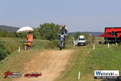 WAVO0487 WAVO0487
