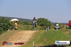 WAVO0541 WAVO0541