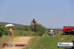 WAVO0619 WAVO0619