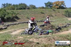 WAVO0670 WAVO0670