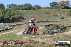 WAVO0675 WAVO0675