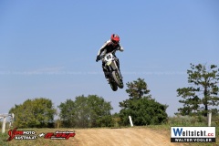 WAVO0831 WAVO0831
