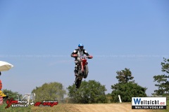 WAVO0842 WAVO0842